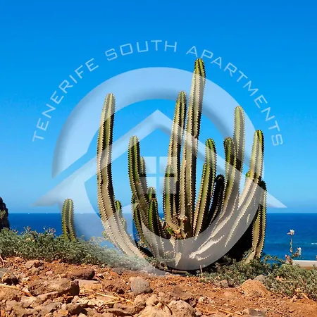 My Sea View Lägenhet *